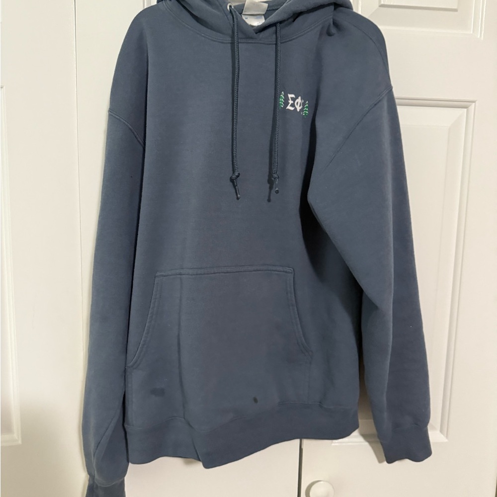 Sigma Phi Epsilon fraternity hoodie - Picture 7 of 10